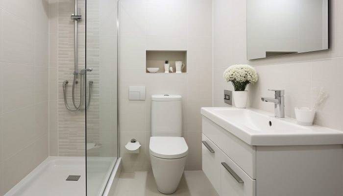 modern-style-small-bathroom-with-furnishings